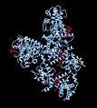 Kristalna struktura proteina supresora retinoblastoskog tumora vezanog za E2F peptidni polimer
