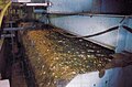 Промышленная пенная флотация медных сульфидных руд