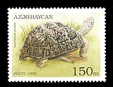 Леопардовая черепаха на марке Азербайджана 1995 года