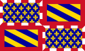 Zastava Vojvodina Burgundija
