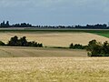 Cultures céréalières près de Cambrai