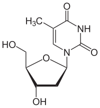 Strukturformel von Desoxythymidin