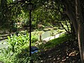 The river winds its way through downtown San Antonio.