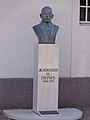 Spomenik Živojinu M. Periću ispred Sokolskog doma. Bio je pravnik i političar, dopisni član SANU i član Napredne stranke