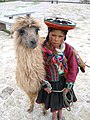 伝統的な衣装を着たケチュア族の少女とリャマ（ペルー クスコ）