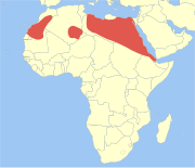 Aire de répartition du Rat épineux du Caire