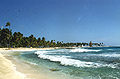 Image 40Half Moon Caye (from Tourism in Belize)