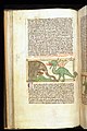 13世紀の書物から、対峙するゾウとドラゴン