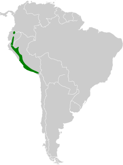 Distribución de Myrtis fanny