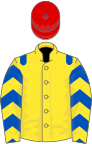 Yellow, royal blue epaulets, royal blue and yellow chevrons on sleeves, red cap