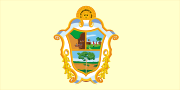Flag of Manaus, Brazil