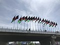 Göndere çekilmiş Afganistan bayrakları, Bağımsızlık Günü sırasında Kote Sangi'de