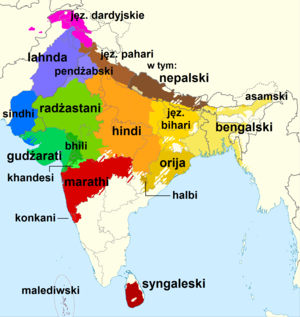 Mapa. Subkontynent indyjski. Granice państw. Różnokolorowe obszary z podpisami