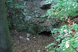 Pustý hrad (Sklené Teplice)