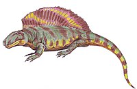 Ctenospondylus