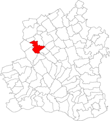 Location in Teleorman County