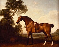 A Saddled Bay Hunter (1786), oil on panel, 48.2 x 57.7 cm., Denver Art Museum