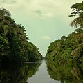 El ríu Coloráu forma una rede fluvial xunto al ríu Tortuguero y el ríu Chirripó Norte. Ye parte d'una importante zona protexida.