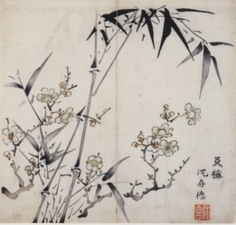 Kirschblüten und Bambus