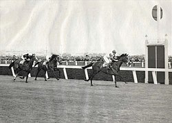 Talking, 1936 winner