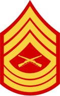 E-8 Master Sergeant (MSgt)