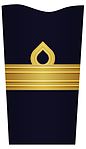 Sverige, amfibiekåren (ärm på uniform m/48)