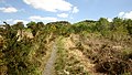 Sentier menant vers les crêtes des Monts d'Arrée en amont de la tourbière du Mougau.