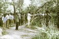 قانون دیدار صبحگاهی، هرمنگونو، گینه بیسائو، ۱۹۷۴