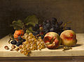 Stilleven met pruimen, druiven en hazelnoten door Johann Wilhelm Preyer