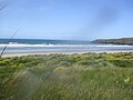 Plaža na poluotoku Otago, u blizini Dunedina
