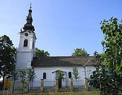 The Orthodox Church