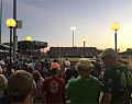 Daytona Tortugas fans taking in a game at The Jack from the Bud Bullpen