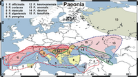 Distribution maps of the species of Paeonia in Europe and Western Asia