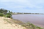 Lake shore with pink lake water