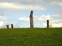 "Vielleicht ein Baum" (1976) ,Beeldenpark Im Tal