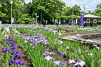 油淵水邊公園