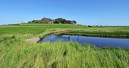 Backenswarft av de nordfrisiska hallig Hooge