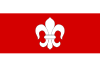 Flag of Čechtice