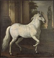 Brilliant, o cavalo de Carlos XI 1680 Museu Nacional de Belas-Artes da Suécia Estocolmo