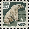 Белый медведь. Миниатюра почты СССР 1964 года