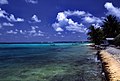 富纳富提環礁的一處海灘