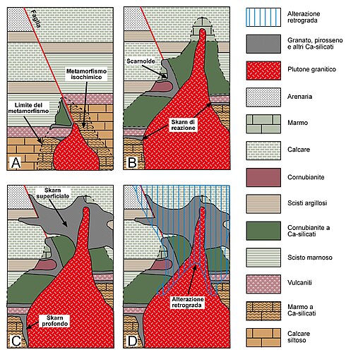 Şekil 2. Bir granit plütonuyla ilişkili bir skarn yatağının evrim aşamaları: (A). İlk intrüzyon tortul kayaçların izokimyasal temas metamorfizmasına neden olur. (B). Çatının aşınması (durma) nedeniyle magmanın yükselmesi ile saldırı tamamlanır. Metamorfik yeniden kristalleşme ve faz değişiklikleri, saf olmayan litolojilerde ve akışkan sınırları boyunca farklı kalsiyum silikat mineralleri (reaksiyon skarnları ve skarnoidler) oluşturan, lokal bimetasomatizma ve sıvı sirkülasyonu ile protolitlerin bileşimlerini yansıtır. Metamorfizmanın, sistemin çatısındaki küçük granit kubbeye göre daha kapsamlı ve daha yüksek derinlikte olduğuna dikkat edin. (C). Ayrı sulu fazların kristalleşmesi ve salımı, sıvı kontrollü metasomatik skarnlara yol açar. Skarn genişlemesinin derinlemesine metamorfik halodan daha az olduğuna ve sistemin çatısındaki metamorfik halonun kapsamını yerel olarak aşan yüzeysel skarnın yanal uzantısına kıyasla baskın olarak dikey olarak yönlendirildiğine dikkat edin. (D). Plütonun soğuması ve daha soğuk ve daha oksijenli meteorik suların olası sirkülasyonu, metamorfik ve metasomatik birleşmelerde kalsiyum silikatlara retrograd bir değişikliğe neden olur. Retrograd atrasyonun yüzeyin yakınında daha kapsamlı olduğunu unutmayın. Son olarak, hidrotermal sıvıları yönlendirmede eklemler ve faylar gibi tektonik yapıların önemine dikkat edin (Da Meinert, 1992, yeniden çizilmiş)