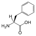 L-fenilalanin (Phe / F)