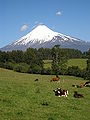 Volcán Osorno cerca de Cascadas