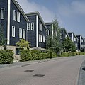 Woningen in het Villabos (Holzvillen)