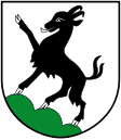 Kitzbühel címere