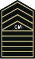 Philippine Army Insignia