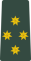 гурҷӣ: კაპიტანი (гурҷӣ: K’ap’it’ani) Georgian Army