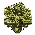 Icosaedron fractal