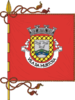 Flag of Murtosa